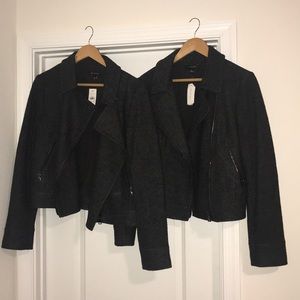 Grey Ann Taylor Stylish Zipper Jacket